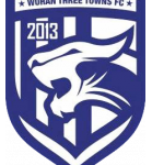 武汉三镇B队队标